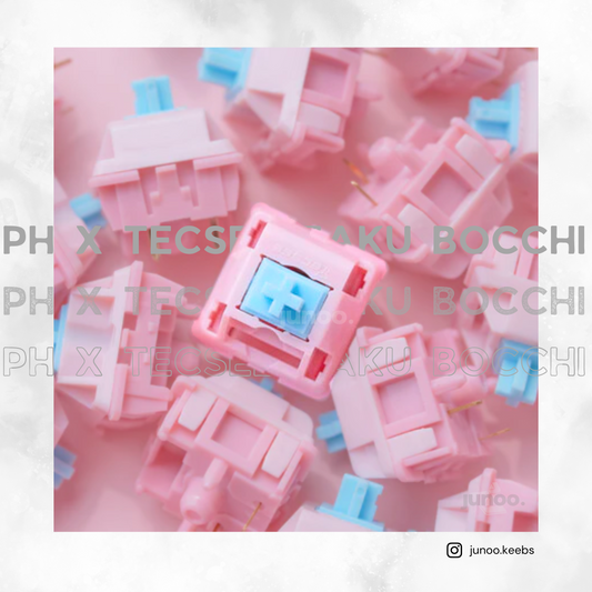 PH X Tecsee Bocchi