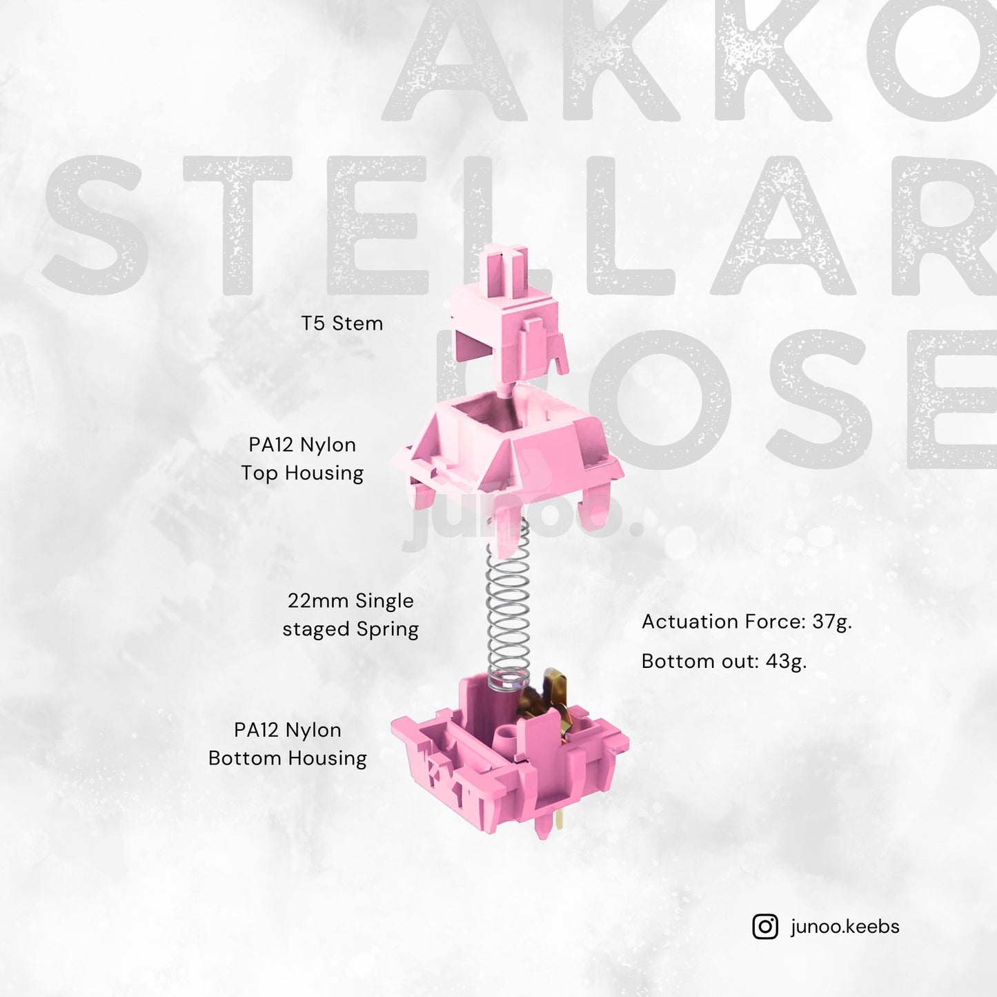 Akko Stellar Rose