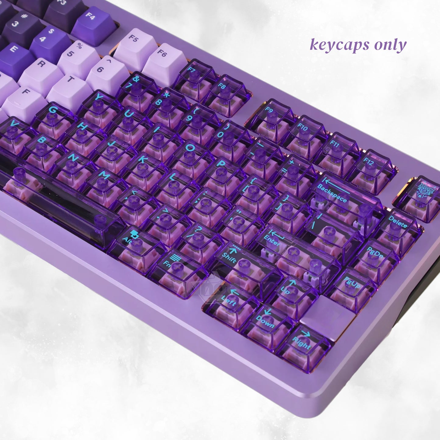 Void Horizon