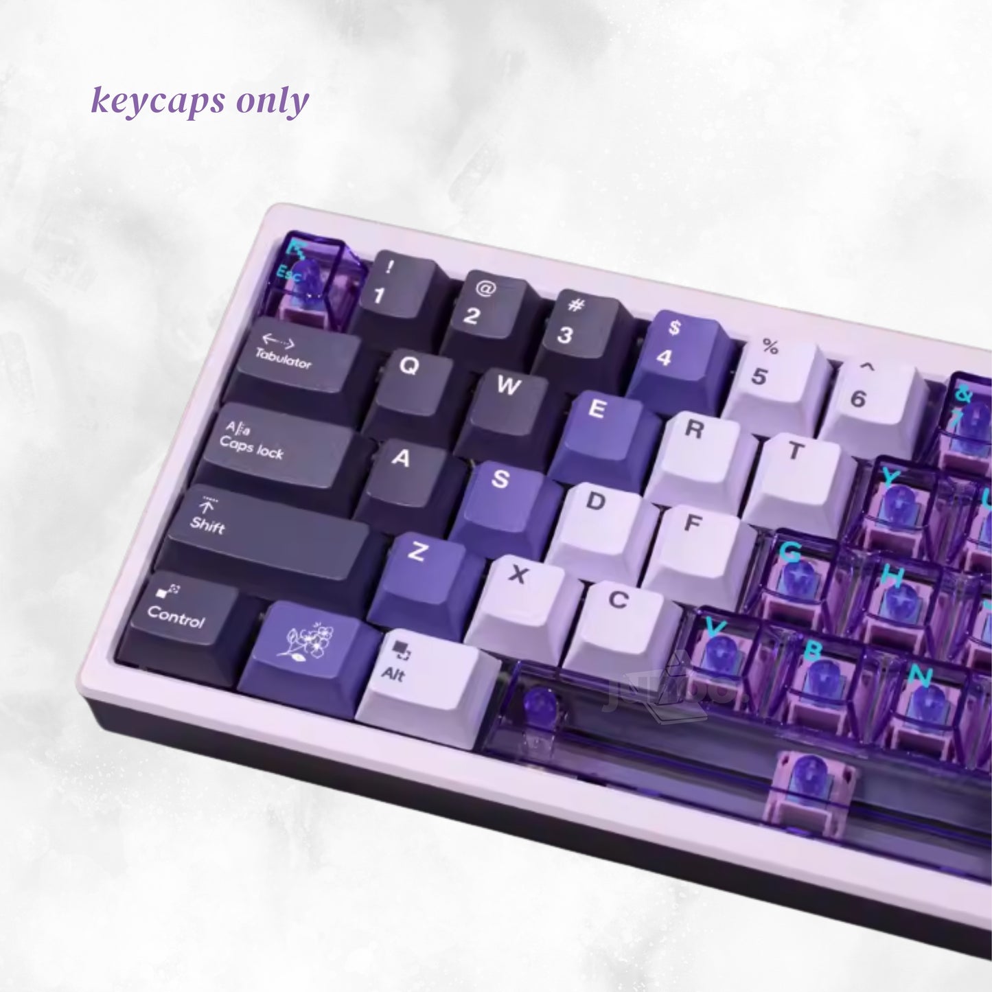 Void Horizon