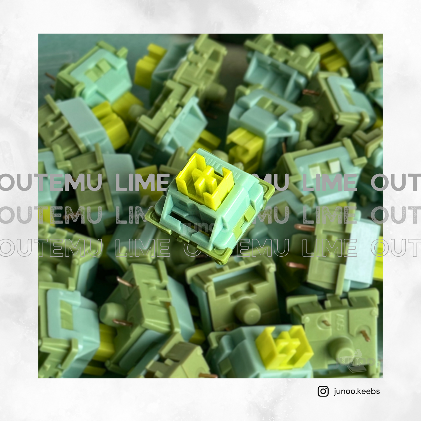 Outemu Lime