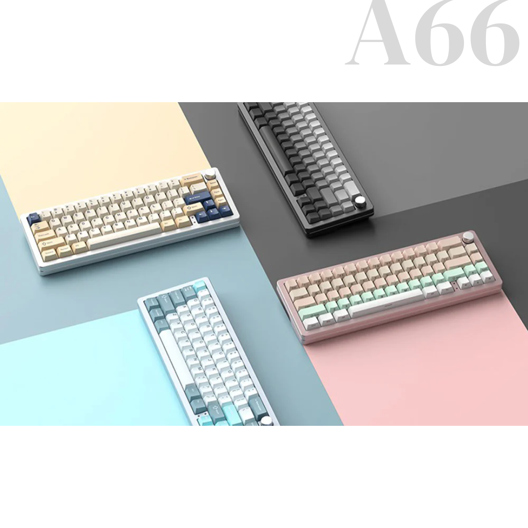A66