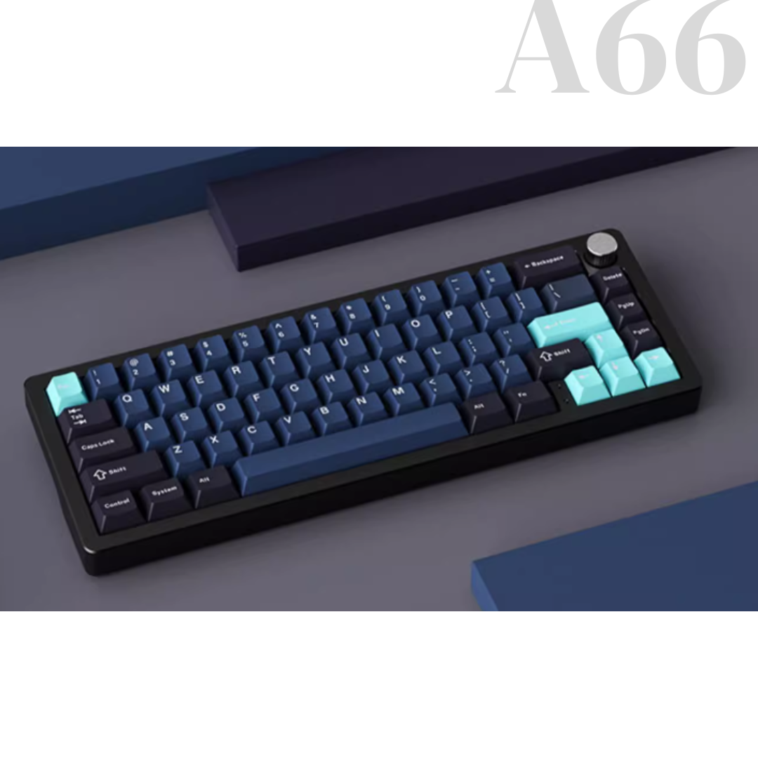 A66