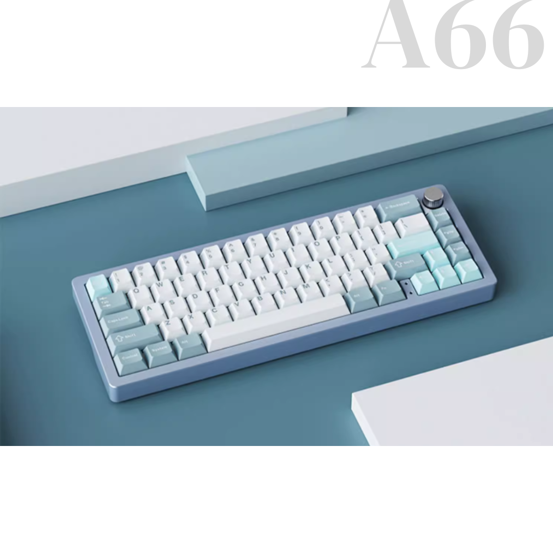 A66