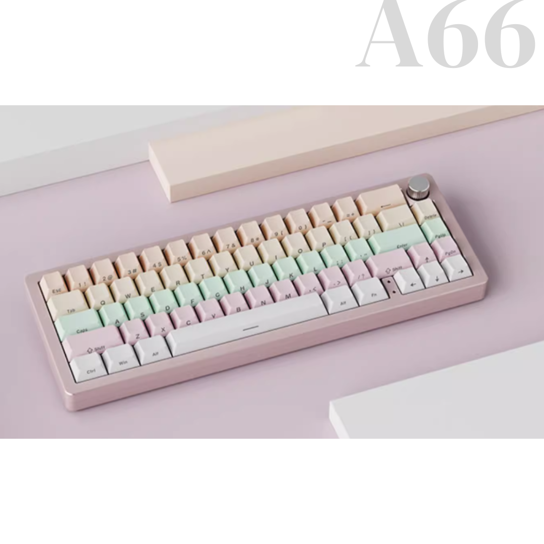 A66