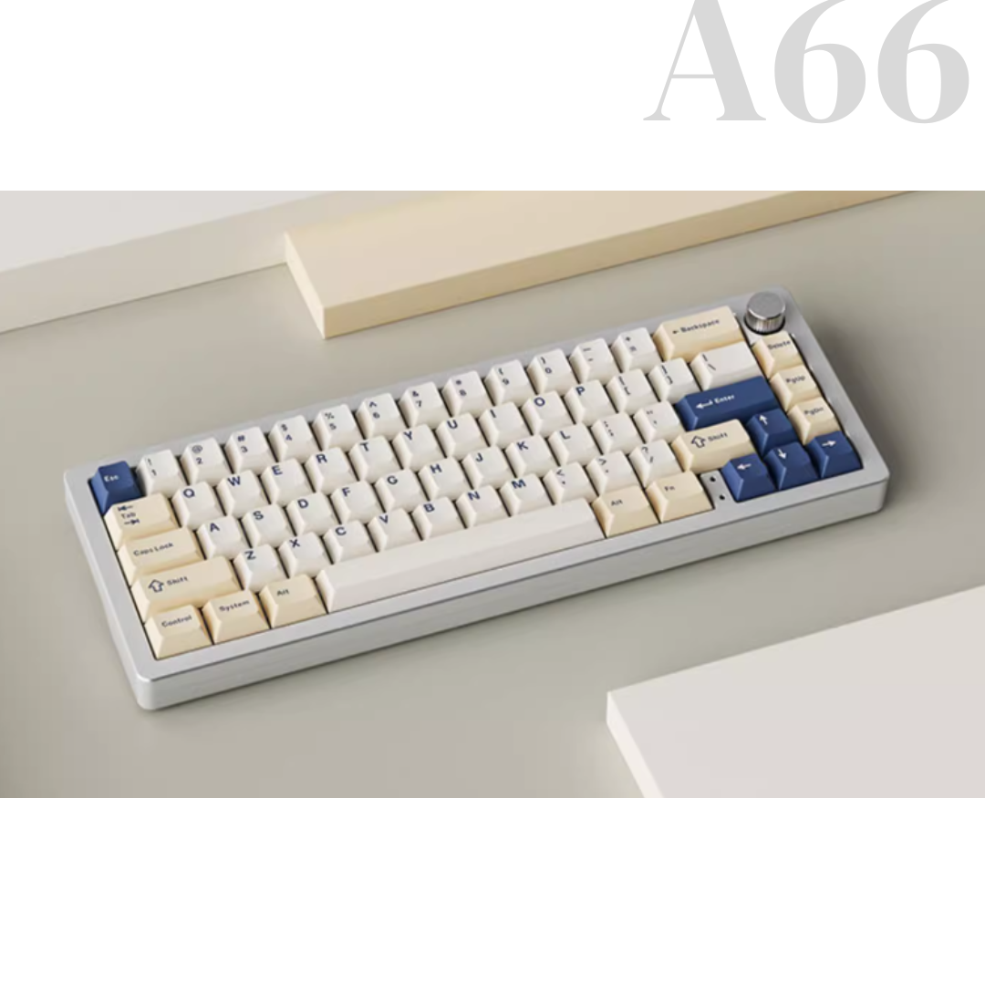 A66