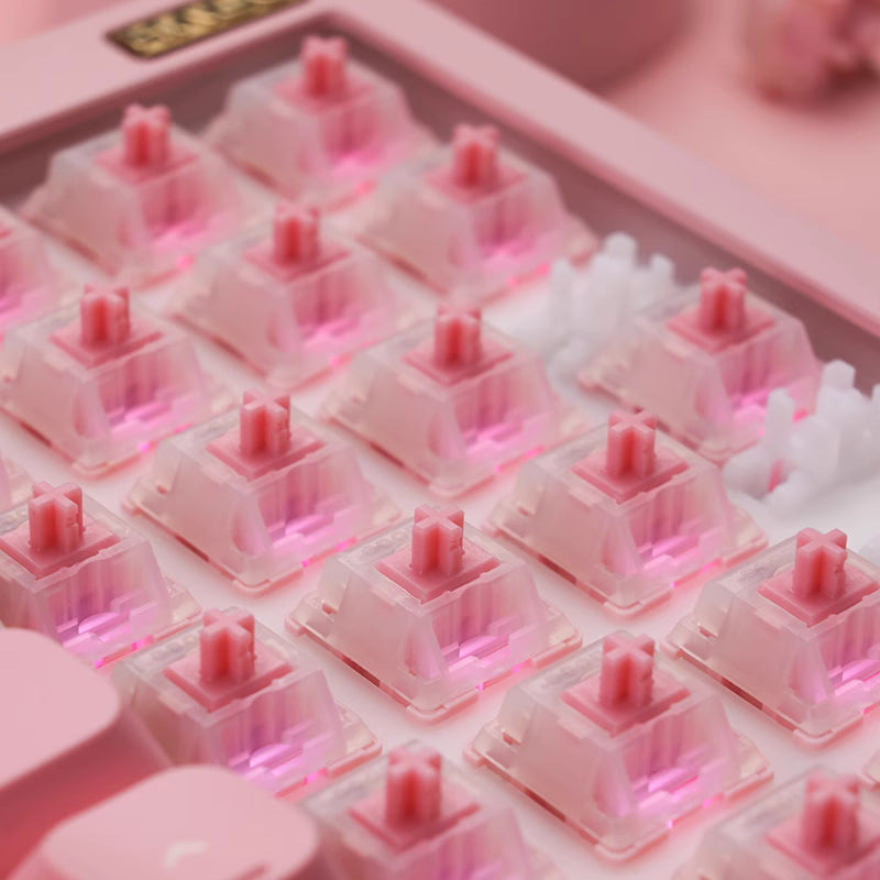 ZUOCE Marshmallow R1